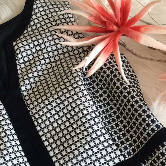 💞JONES NEW YORK 💞collection, stretch dress - Picture 11 of 13